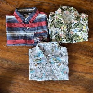 Button down collared shirts